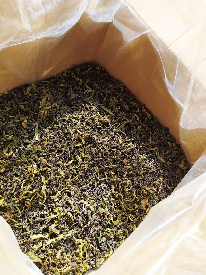 潮汕土山茶高山香春雪茶叶精选高山八仙茶惠来土山茶1袋1斤
