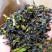 土山茶叶惠来八仙茶潮汕高山茶叶炭焙土山茶1袋1斤