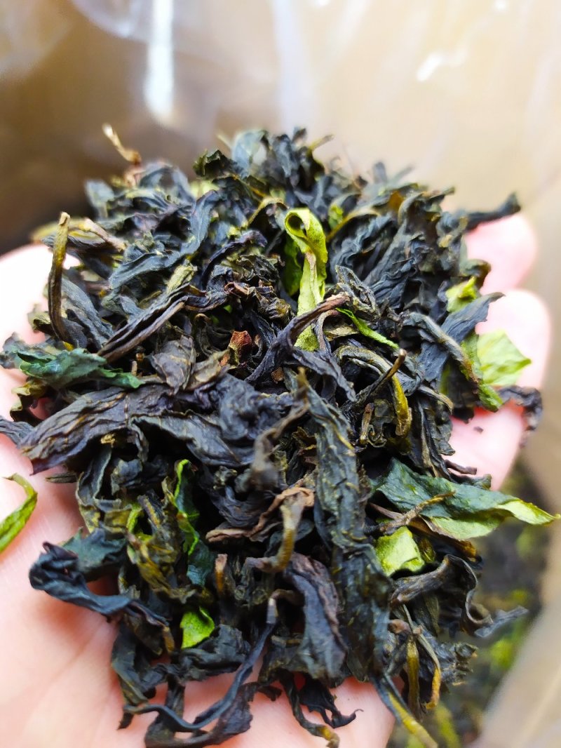 土山茶叶惠来八仙茶潮汕高山茶叶炭焙土山茶1袋1斤