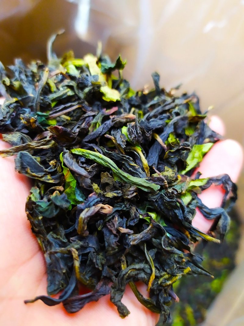 土山茶叶惠来八仙茶潮汕高山茶叶炭焙土山茶1袋1斤