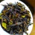 土山茶叶惠来八仙茶潮汕高山茶叶炭焙土山茶1袋1斤