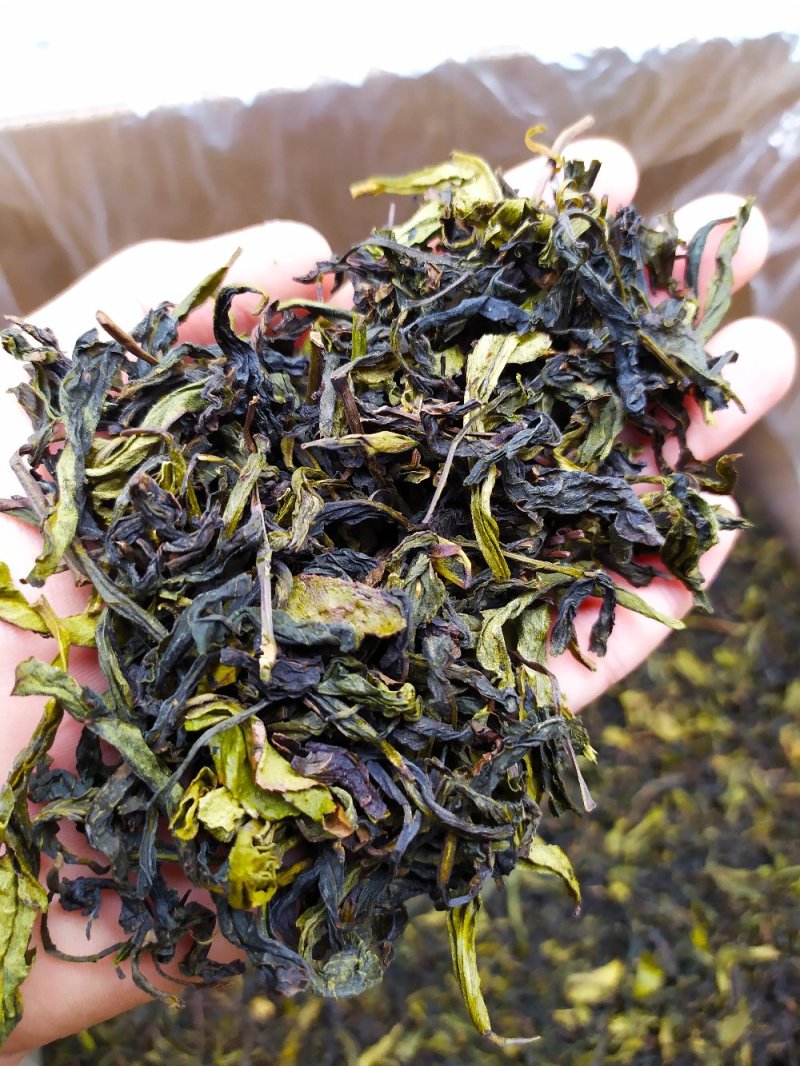 八仙茶叶惠来土山茶潮汕高山茶诏安八仙茶高山土山茶1斤