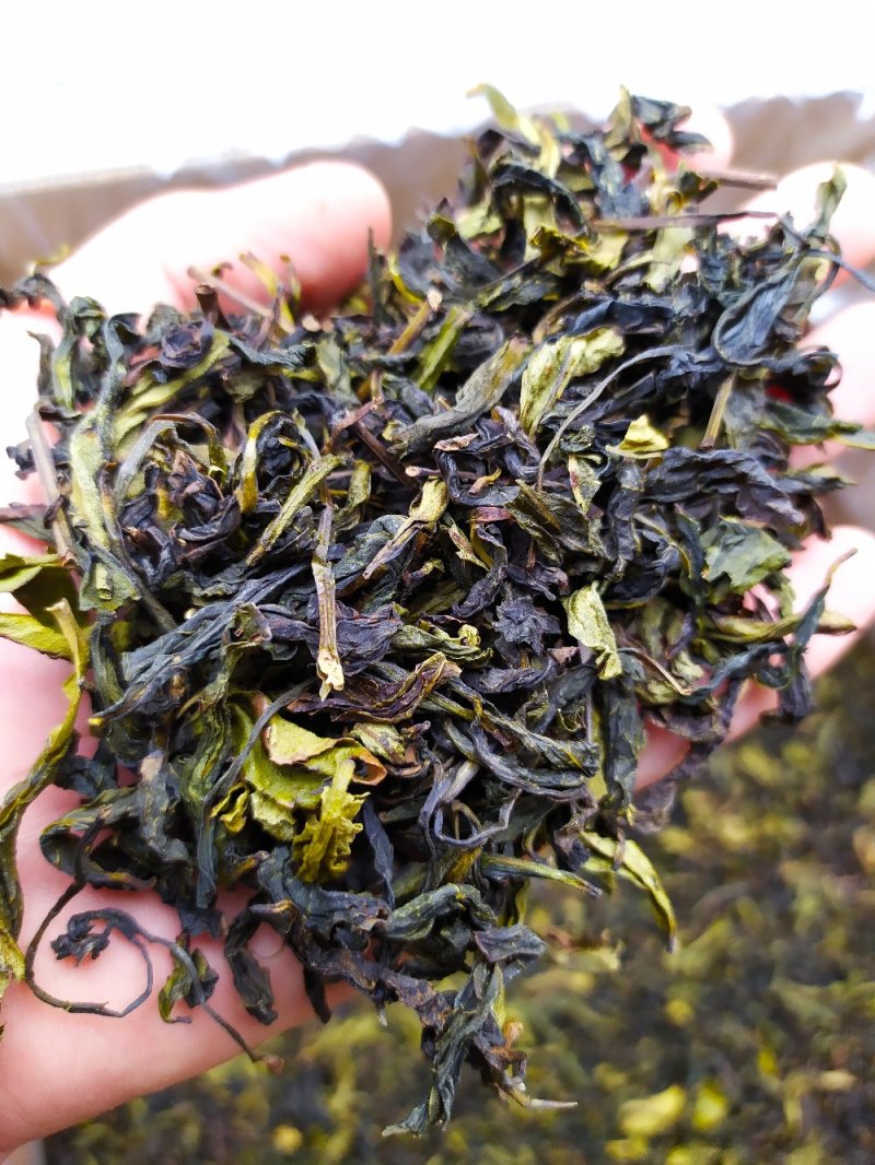 八仙茶叶惠来土山茶潮汕高山茶诏安八仙茶高山土山茶1斤