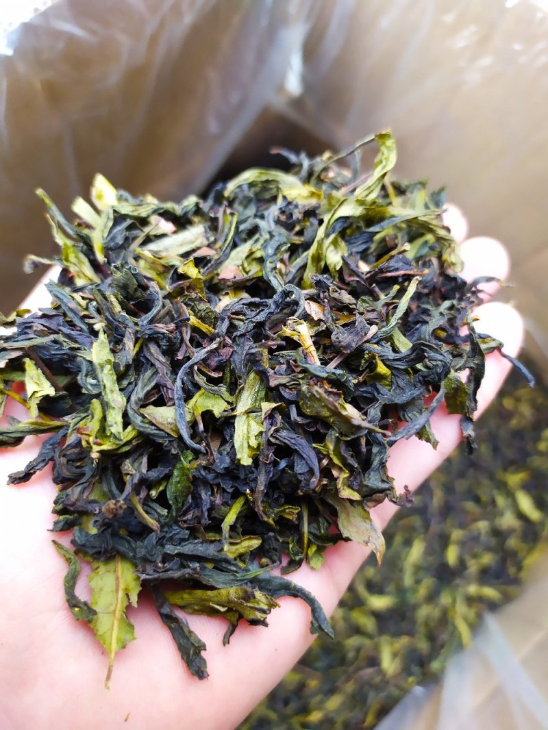 八仙茶叶惠来土山茶潮汕高山茶诏安八仙茶高山土山茶1斤
