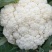 松花菜，四川【有机散花菜】青梗白面，小颗粒，一手货源