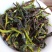 鸭屎香抽湿生茶潮州凤凰单枞茶乌叶单丛茶鸭屎香青茶1斤绿叶