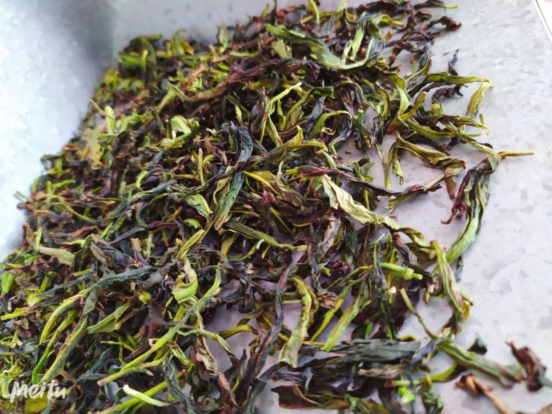 鸭屎香抽湿生茶潮州凤凰单枞茶乌叶单丛茶鸭屎香青茶1斤绿叶