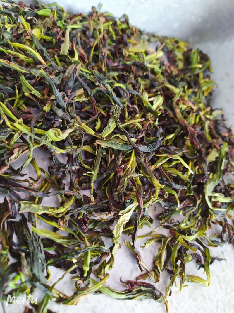 鸭屎香抽湿生茶潮州凤凰单枞茶乌叶单丛茶鸭屎香青茶1斤绿叶