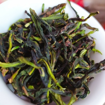 鸭屎香抽湿生茶潮州凤凰单枞茶乌叶单丛茶鸭屎香青茶1斤绿叶