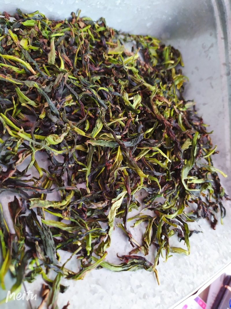 鸭屎香抽湿生茶潮州凤凰单枞茶乌叶单丛茶鸭屎香青茶1斤绿叶