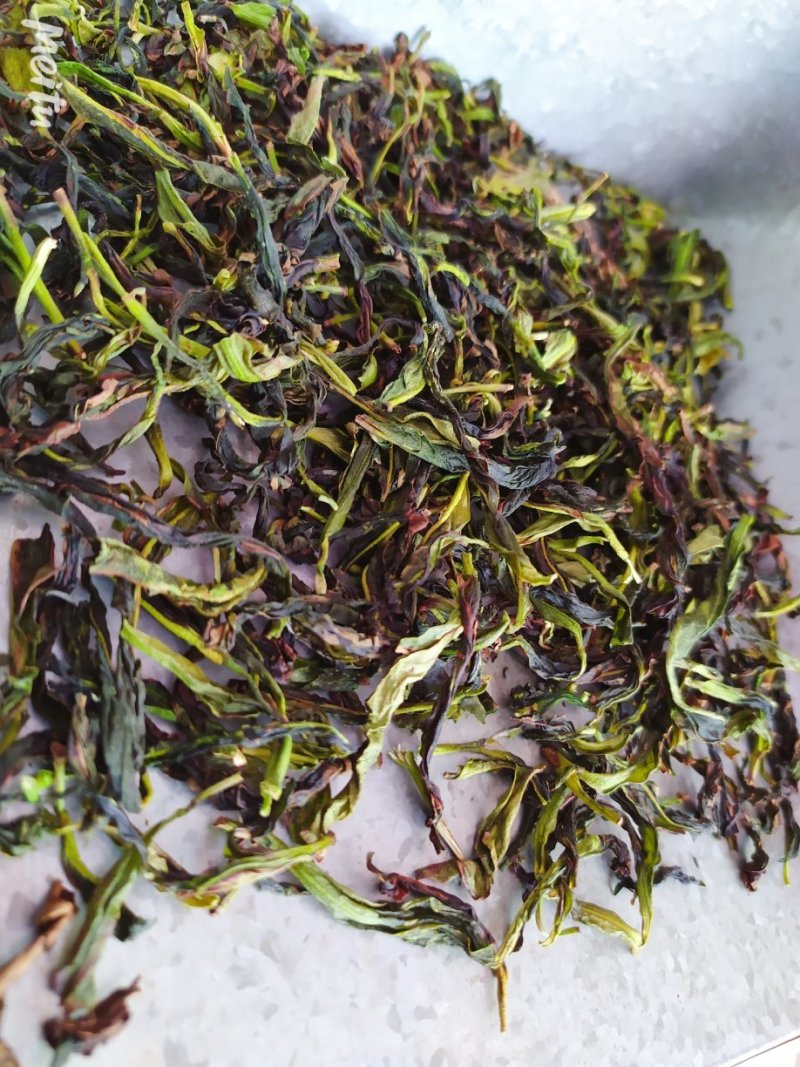 鸭屎香抽湿生茶潮州凤凰单枞茶乌叶单丛茶鸭屎香青茶1斤绿叶