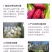 北王老字号地瓜粉皮纯地瓜淀粉纯手工制作无添加