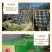 北王老字号地瓜粉皮纯地瓜淀粉纯手工制作无添加