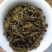 黄枝香单枞茶潮州凤凰单枞茶乌叶单茶清香黄枝香单枞1斤1袋