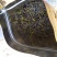 黄枝香单枞茶潮州凤凰单枞茶乌叶单茶清香黄枝香单枞1斤1袋