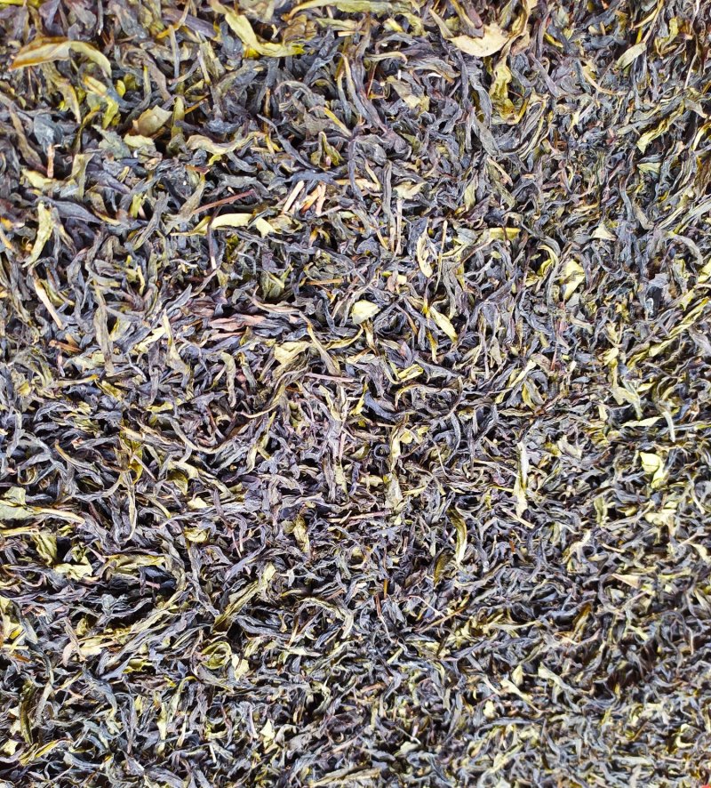黄枝香单枞茶潮州凤凰单枞茶乌叶单茶清香黄枝香单枞1斤1袋