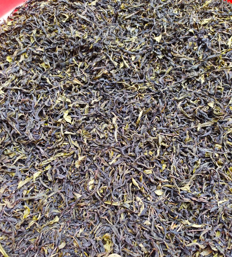 黄枝香单枞茶潮州凤凰单枞茶乌叶单茶清香黄枝香单枞1斤1袋