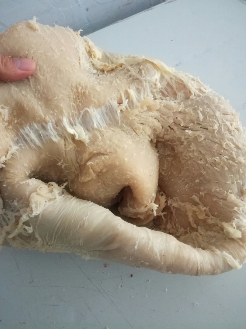 牛肚精品，熟度高，精修无油！