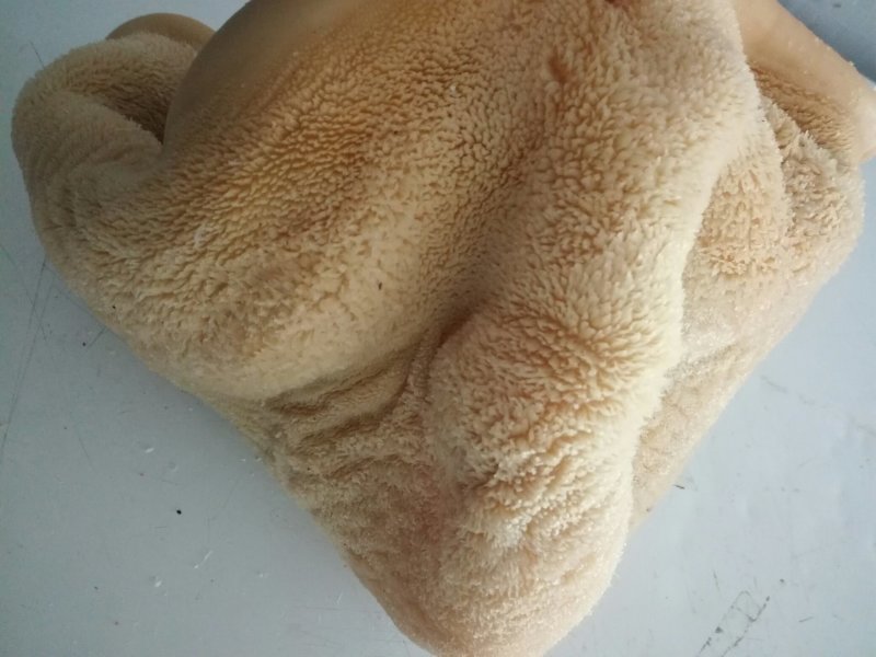 牛肚精品，熟度高，精修无油！