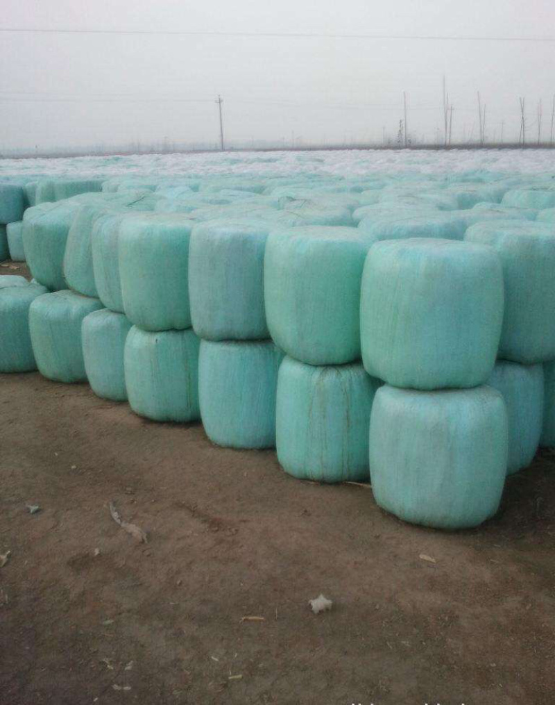 长期供应玉米秸秆青贮。基地长达一万亩。牛羊牧场饲料