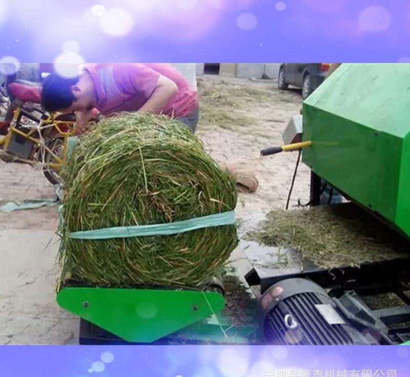 长期供应玉米秸秆青贮。基地长达一万亩。牛羊牧场饲料
