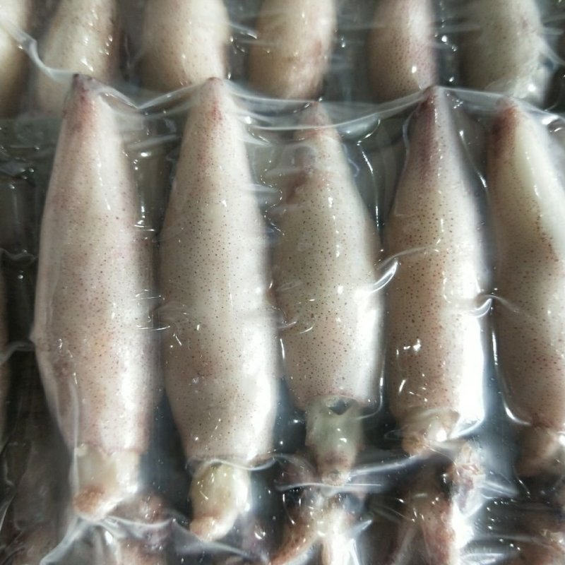 籽乌全籽籽乌笔管鱼新鲜熟冻美味佳肴全籽籽乌