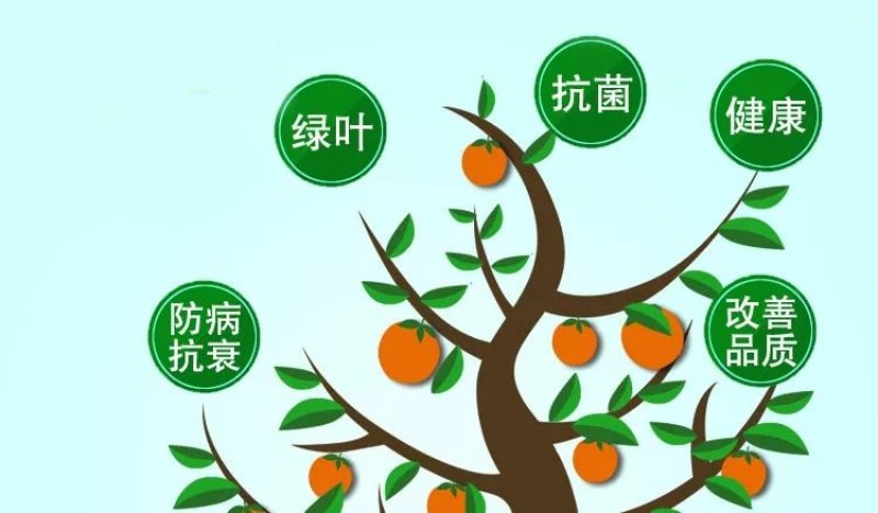 推荐细胞分裂素叶面肥膨大素花芽分化增产增收植物生长调节剂