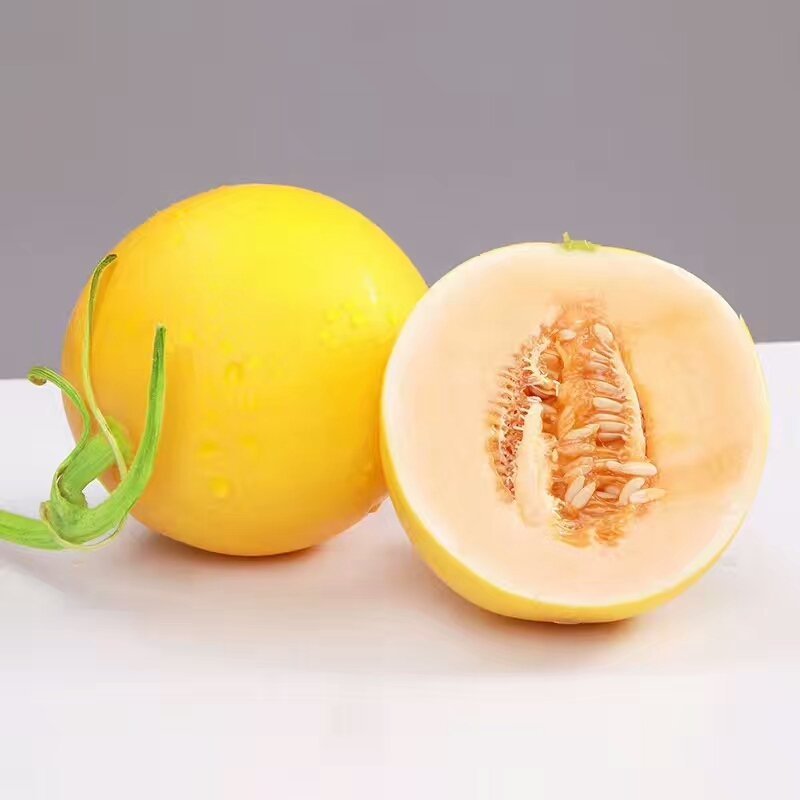 缅甸进口甜瓜黄河蜜