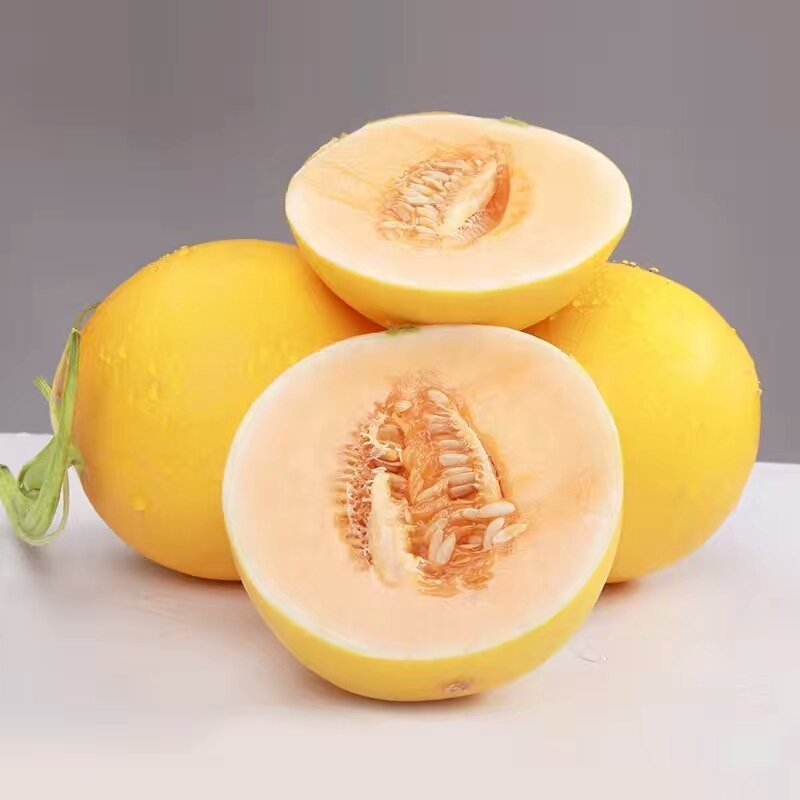 缅甸进口甜瓜黄河蜜
