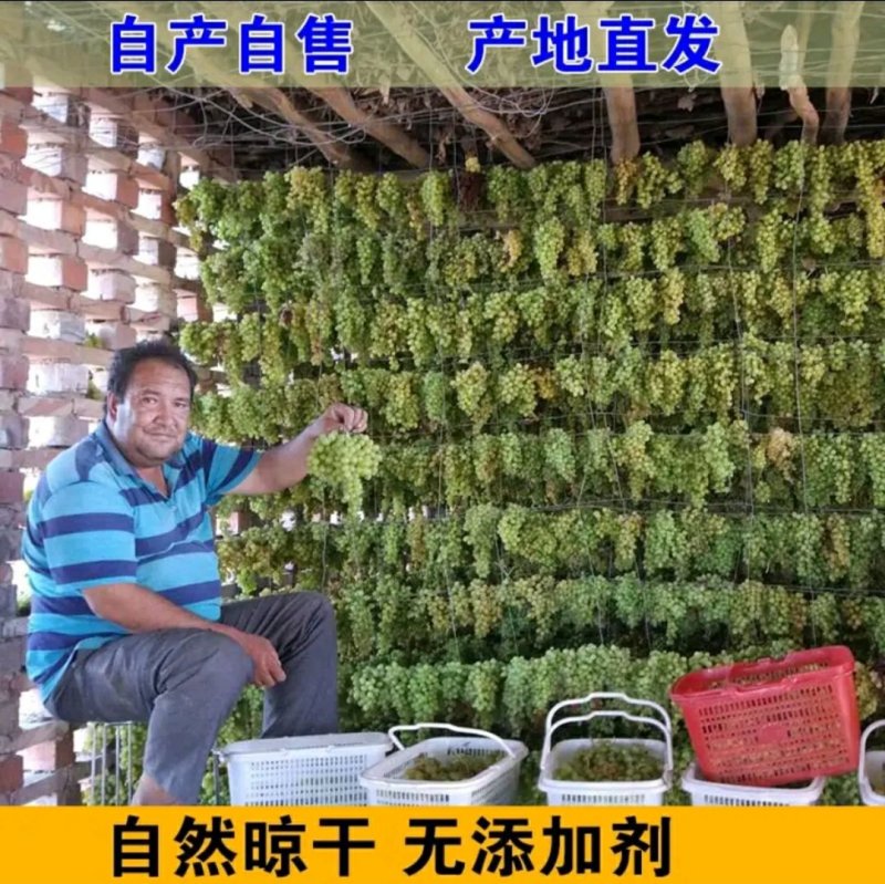 特级葡萄干自产自销，可议价批发零售