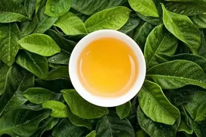 勐海县亏本清仓出一批普洱茶生茶，散料好喝又便宜