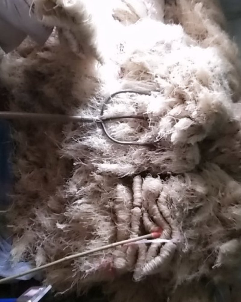 正宗红薯粉