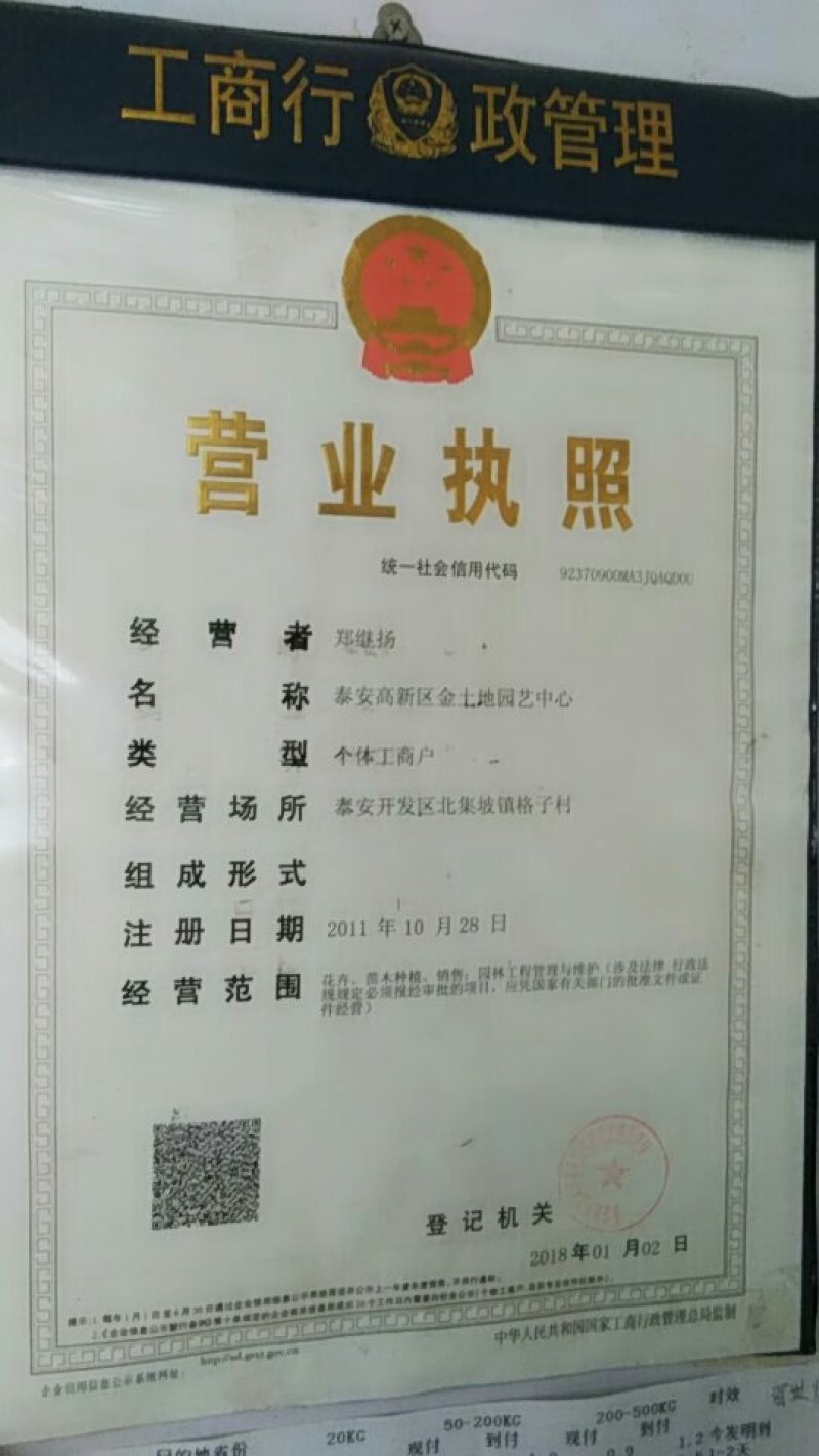 猕猴桃苗红杨猕胡桃，红心猕胡桃，猕胡桃新品种