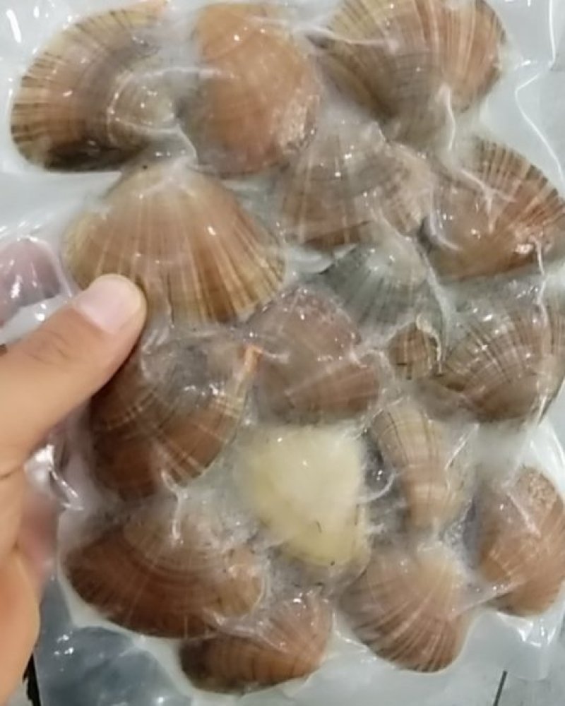 黄蚬子，文贝冻板，一板500一箱20袋，现对外出售