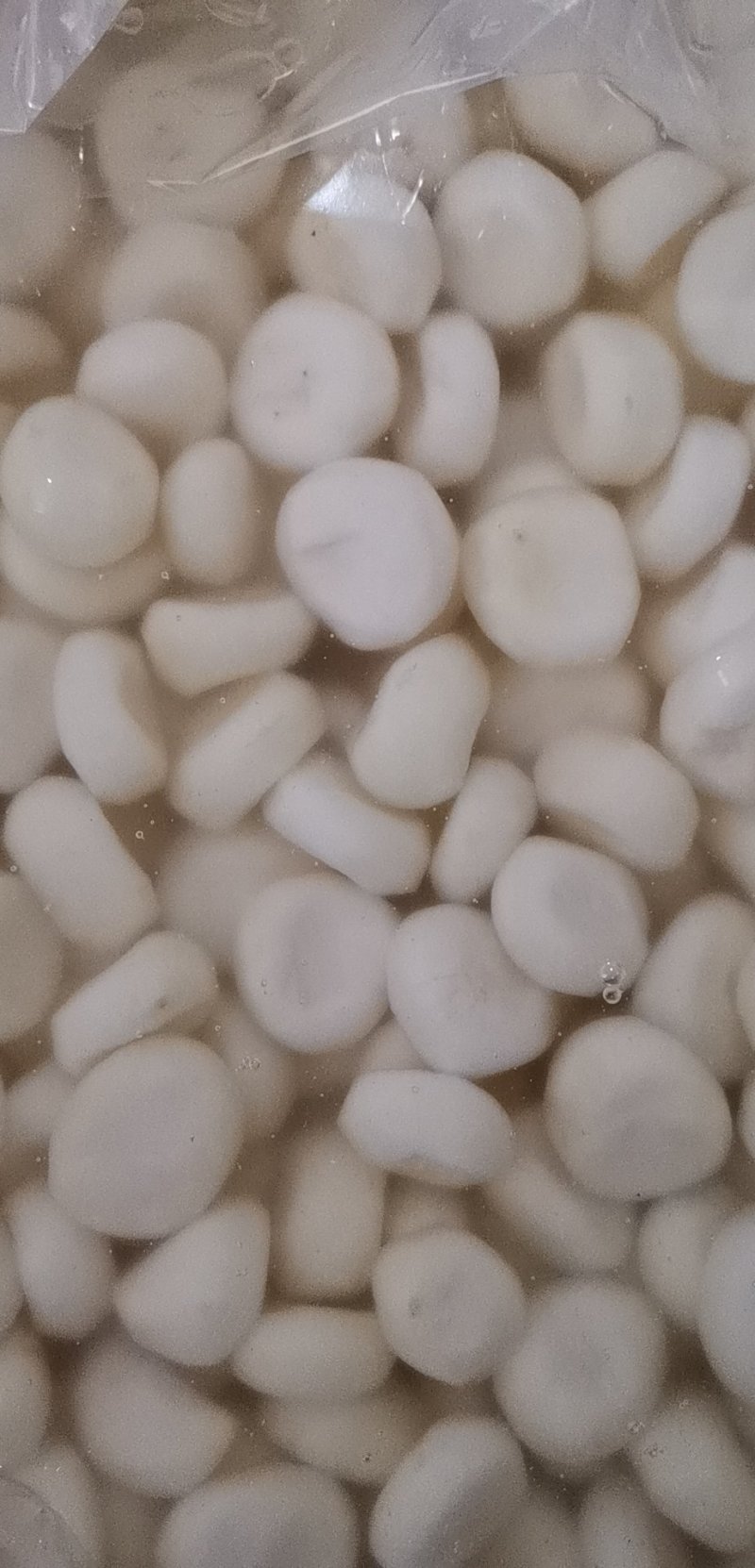 削皮马蹄