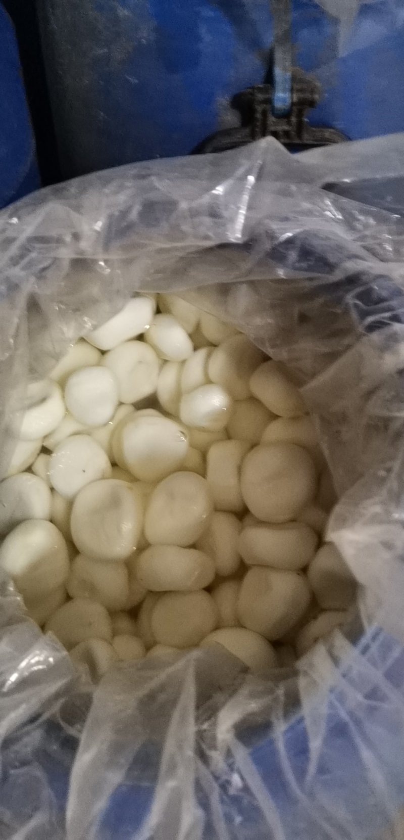 削皮马蹄