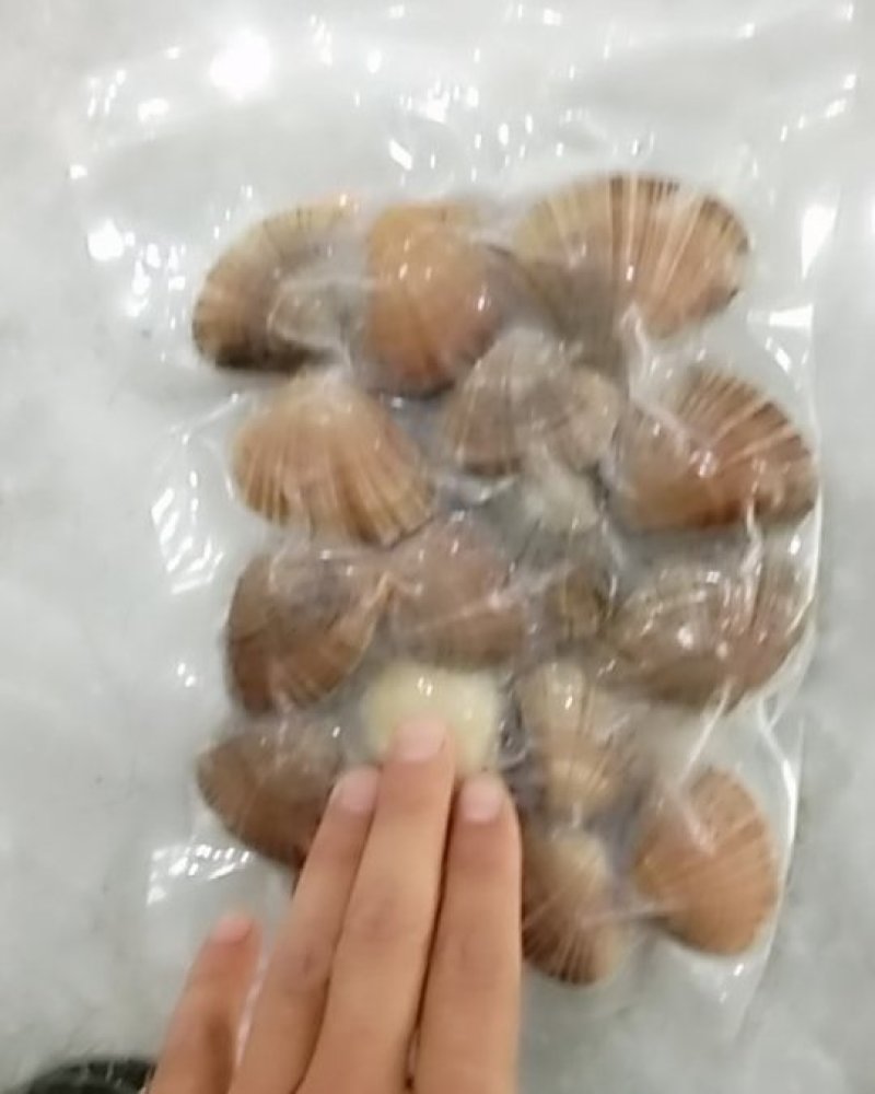 黄蚬子，文贝冻板，一板500一箱20袋，现对外出售