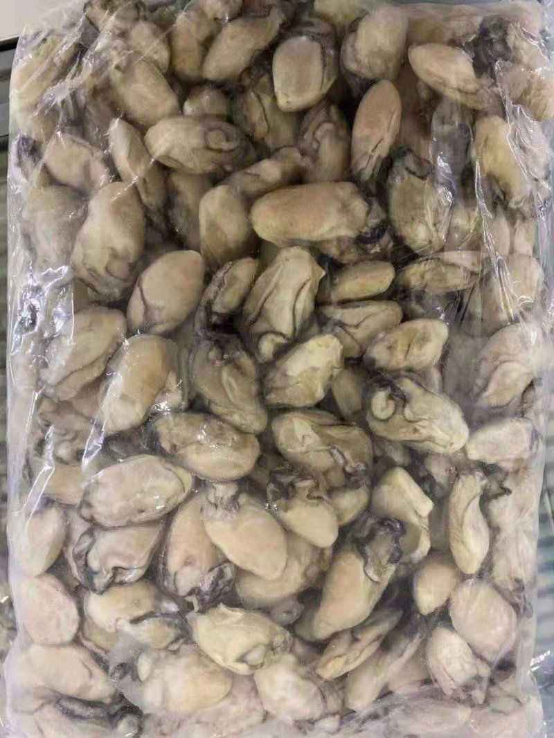 海螺头，进口海螺肉单冻，价格便宜