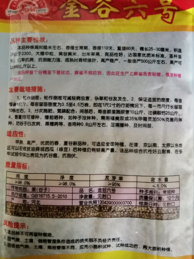 金谷六号优质谷种批发小米种子小糯米种子抗倒伏高产150克