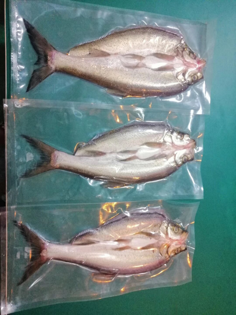 丹江口水库野生翘嘴