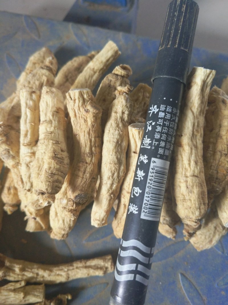 【西洋参软支】长白山西洋参低残软支大量有货/