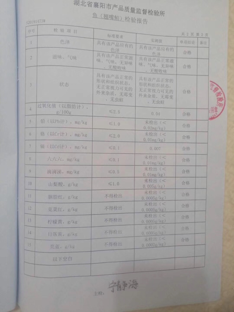 丹江口水库野生翘嘴