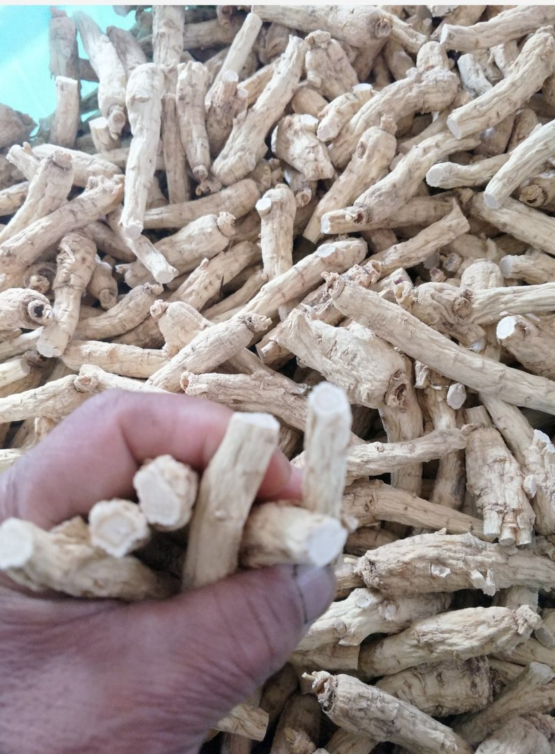 【西洋参软支】长白山西洋参低残软支大量有货/