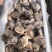海螺头，玉螺肉单冻，肚脐螺。