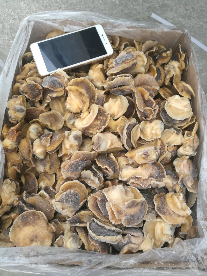 海螺头，玉螺肉单冻，肚脐螺。