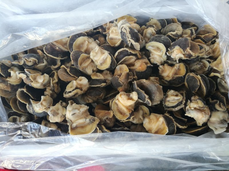 海螺头，玉螺肉单冻，肚脐螺。