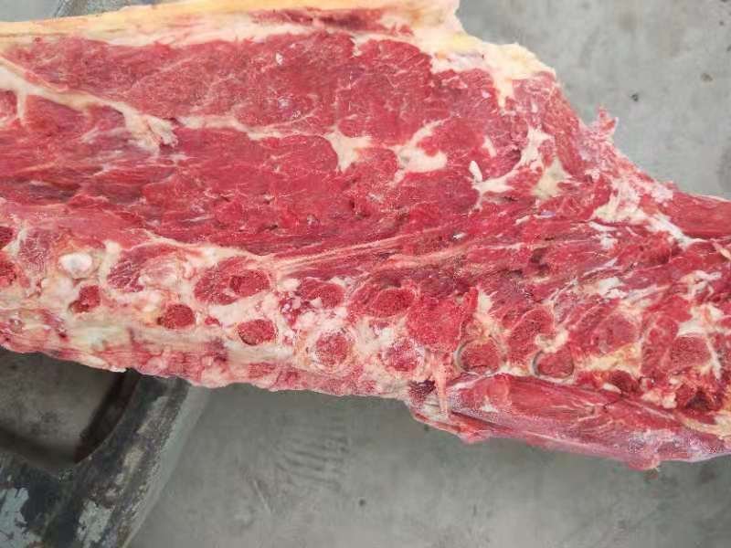 新鲜现杀多肉驴马蝎子脊骨脖骨