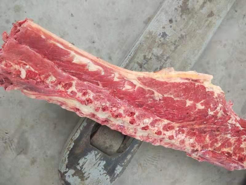 新鲜现杀多肉驴马蝎子脊骨脖骨