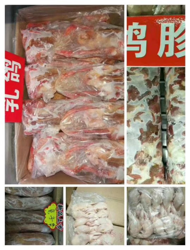 乳鸽，鹌鹑。厂家直销品质保证。