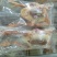 乳鸽，鹌鹑。厂家直销品质保证。